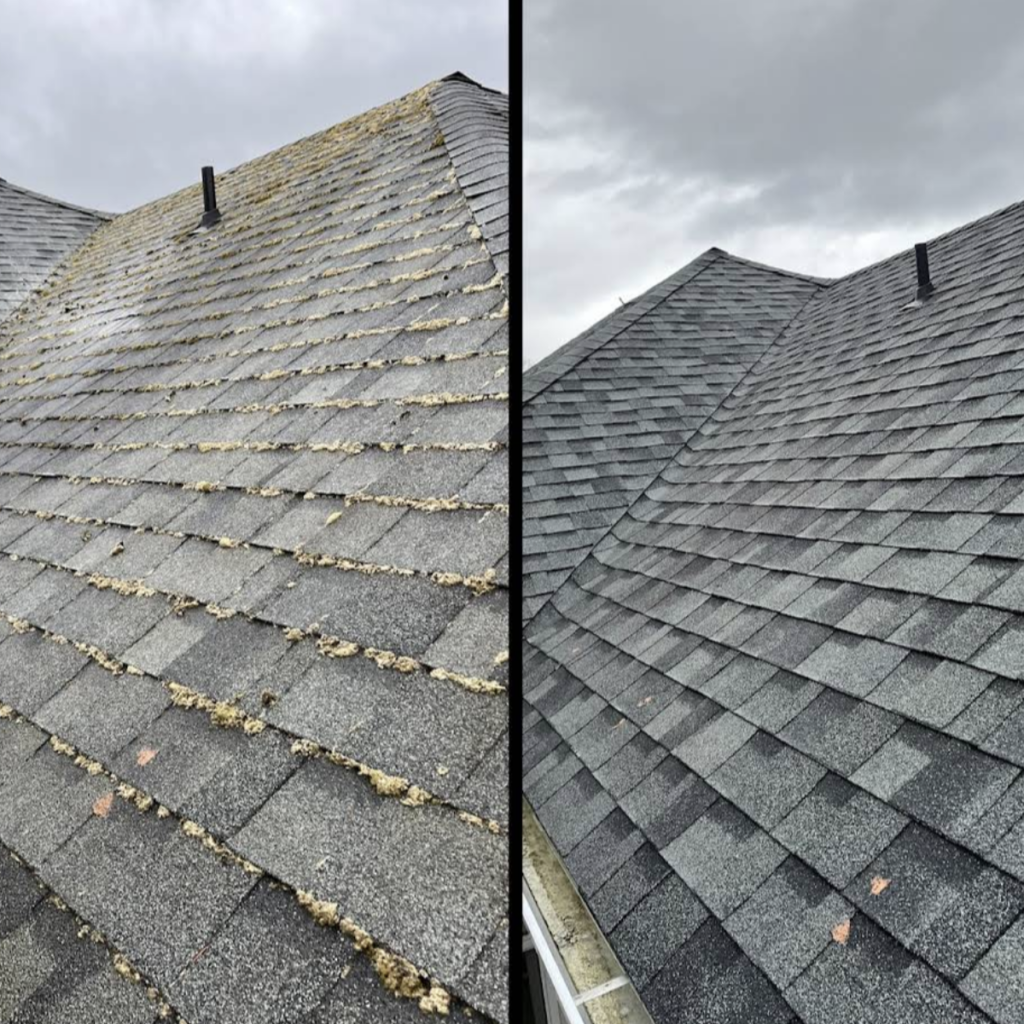 roof cleaning Vancouver WA