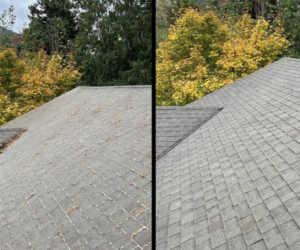 roof cleaning Vancouver WA